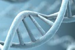 【最新版2024】完全免费的ddos接单平台